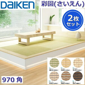 Daiken^匚HƁ@YQ50-21@a ʉ() yJ[6FI 970x970mm 2zy~݃^Cv 970pzCeA u@[G]