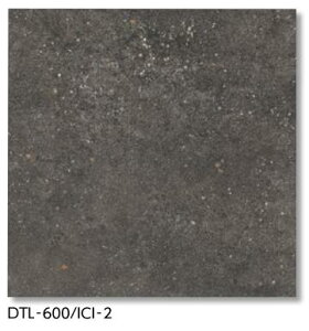 LIXIL@DTL-600/ICI-2@P[X̔y4/P[Xz 600p CRb` ˁ