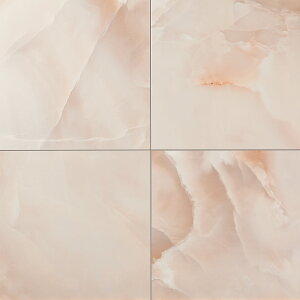 LIXIL@DTL-600N/PGT-2P@P[X̔y4/P[Xz 600p vW[g ˁ