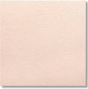 LIXIL�@ECP-3031T/FMN4N ���[�Y�@�P�[�X�̔��y22��/�P�[�X�z 303�p�Жʏ��[�d�グ �G�R�J���b�g�v���X �t�F�~�[�i �ˁ�