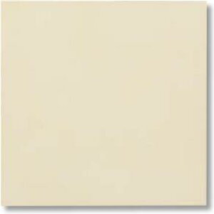 LIXIL�@ECP-3031T/NTC2FN �x�[�W���@�P�[�X�̔��y22��/�P�[�X�z 303�p�Жʏ��[�d�グ�i�t���b�g�j �G�R�J���b�g�v���X �j���[�g�����X�@�ˁ�
