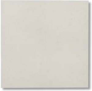 LIXIL�@ECP-3031T/NTC3FN �O���[�@�P�[�X�̔��y22��/�P�[�X�z 303�p�Жʏ��[�d�グ�i�t���b�g�j �G�R�J���b�g�v���X �j���[�g�����X�@�ˁ�