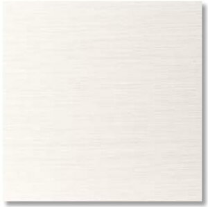 LIXIL�@ECP-3031T/SLA1N(U) �z���C�g�@�P�[�X�̔��y22��/�P�[�X�z 303�p�Жʏ��[�d�グ�i��j �G�R�J���b�g�v���X �V���N���[�l�@�ˁ�