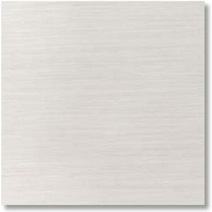 LIXIL�@ECP-3031T/SLA3N(R) �O���[�@�P�[�X�̔��y22��/�P�[�X�z 303�p�Жʏ��[�d�グ�i�E�j �G�R�J���b�g�v���X �V���N���[�l�@�ˁ�