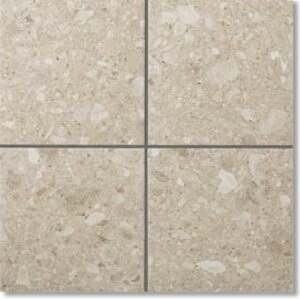 LIXIL@IPF-301/ATS-3@P[X̔y20/P[Xz 300×100mmpti@iڒj AeBX^ ˁ