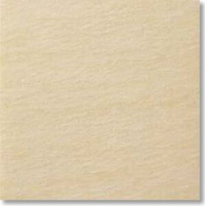 LIXIL@IPF-301/SEN-2@P[X̔y20/P[Xz 300×100mmpti@iڒj Xg[GbW2 p ˁ