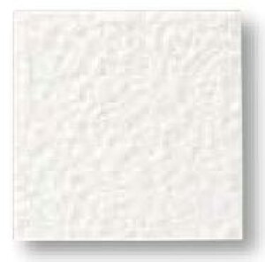 LIXIL@ADG-101M/200@P[X̔y50/P[Xz 100mmpti@ ARfBG ˁ