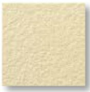 LIXIL@ADG-101M/251@P[X̔y50/P[Xz 100mmpti@ ARfBG ˁ