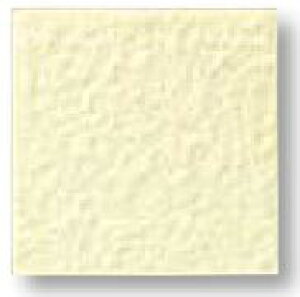 LIXIL@ADG-101M/291@P[X̔y50/P[Xz 100mmpti@ ARfBG ˁ