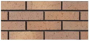 LIXIL@FC-25RG/N4@P[X̔y26/P[Xz 񒚛ȁiڒj(t) ΐFiЂˁj y ˁ