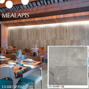 LIXIL@DTL-600/MLP-2@P[X̔y4/P[Xz 600p ~AsX ˁ