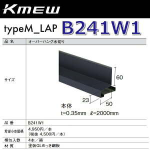 Kmew/PC~[@B241W1@I[o[nO؂y{́z(ubN) y4{/@Pʔ̔z typeM_LAPށ@