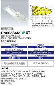 dC@E70065SAN9@LEDhƓ STREET 20VA _Ŋt IWASAKI [Z]