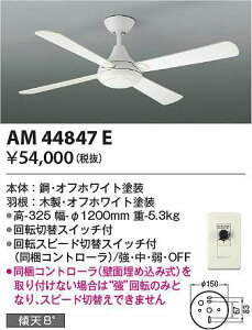 �R�C�Y�~�Ɩ��@AM44847E�@�C���e���A�t�@�� ��