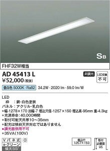 �R�C�Y�~�Ɩ��@AD45413L�@LEDSB�`������� ��