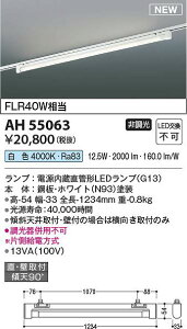 �R�C�Y�~�Ɩ��@AH55063�@LED�x�[�X���C�g ��