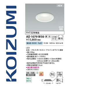 �R�C�Y�~�Ɩ��@AD1079W50�@�_�E�����C�g 100�� �����F FHT32W���� 15W�@��[Z]