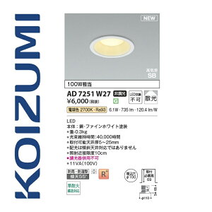 RCY~Ɩ@AD7251W27@_ECg 100 dF 100W 6.1W@[Z]