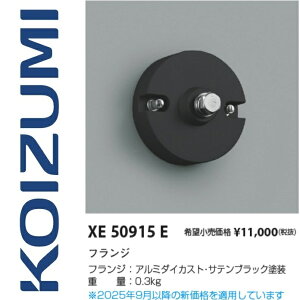 �R�C�Y�~�Ɩ��@XE50915E�@�t�����W�@��