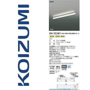 RCY~Ɩ@XH55281@x[XCg@