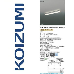 RCY~Ɩ@XH55285@x[XCg@