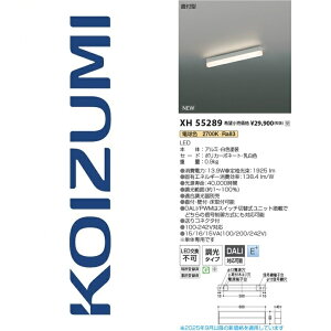 RCY~Ɩ@XH55289@x[XCg@