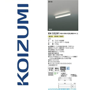 RCY~Ɩ@XH55291@x[XCg@