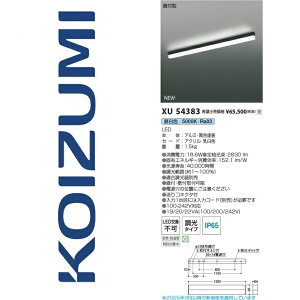 RCY~Ɩ@XU54383@x[XCg@