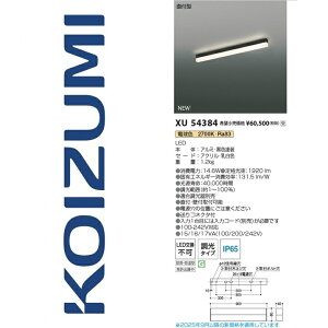 RCY~Ɩ@XU54384@x[XCg@