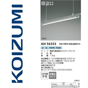 RCY~Ɩ@AH56353@x[XCg@