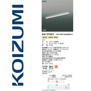 RCY~Ɩ@AH57647@x[XCg@