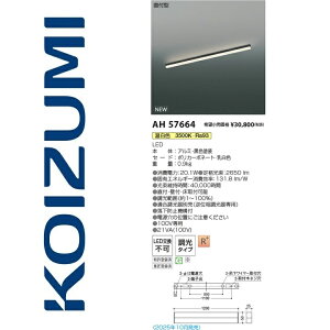 RCY~Ɩ@AH57664@x[XCg@