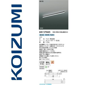 RCY~Ɩ@AH57665@x[XCg@