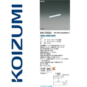 RCY~Ɩ@AH57823@x[XCg@