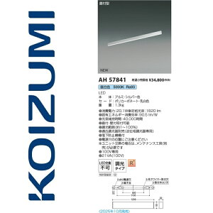 RCY~Ɩ@AH57841@x[XCg@