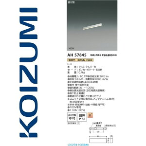 RCY~Ɩ@AH57845@x[XCg@