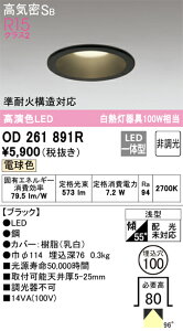 �I�[�f���b�N�@OD261891R�@LED�_�E�����C�g ��[ZX]