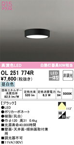 �I�[�f���b�N�@OL251774R�@LED�V�[�����O ��[X]