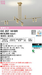 �I�[�f���b�N�@OC257161BR�@LED�V�����f���A ��