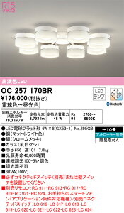 �I�[�f���b�N�@OC257170BR�@�����v�ʍ��� ��