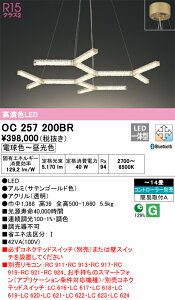 �I�[�f���b�N�@OC257200BR�@LED�V�����f���A ��