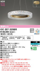 �I�[�f���b�N�@OC257225BR�@LED�y���_���g ��