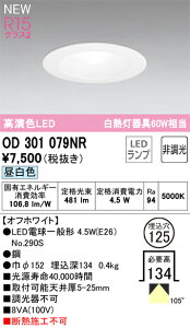 �I�[�f���b�N�@OD301079NR�@�����v�ʍ��� ��