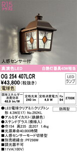 I[fbN@OG254407LCR@vʍ 