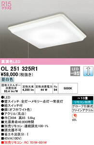 �I�[�f���b�N�@OL251325R1�@LED�V�[�����O���C�g ��