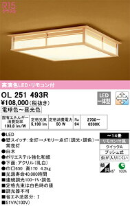 �I�[�f���b�N�@OL251493R�@LED�V�[�����O���C�g ��
