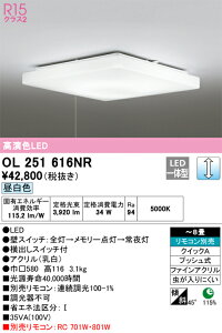 �I�[�f���b�N�@OL251616NR�@LED�V�[�����O���C�g ��