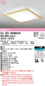 オーデリック　OL251629BCR　LEDシーリングライト Σ