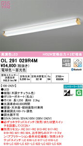 �I�[�f���b�N�@OL291029R4M�@LED�������j�b�g�ʍ� ��
