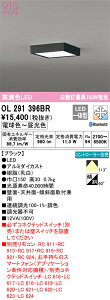 �I�[�f���b�N�@OL291396BR�@LED�V�[�����O���C�g ��